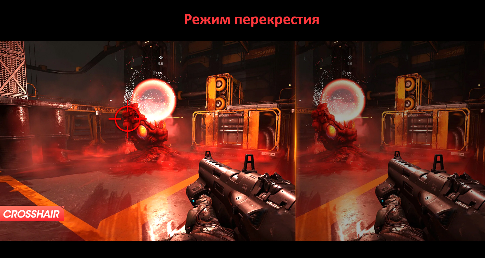 5.jpg 5.jpg